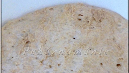Staré těsto – old dough – pâte fermentée