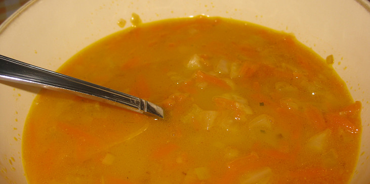 Fenyklovo-mrkvová polévka