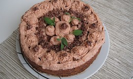 Hvězdičkový Granko pudinkový dort s piškoty