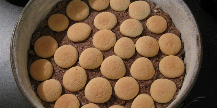 Hvězdičkový Granko pudinkový dort s piškoty