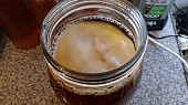 Kombucha z kupované lahve Kombuchy