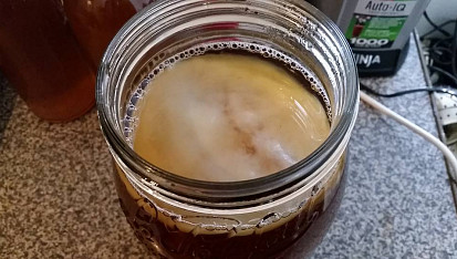 Kombucha z kupované lahve Kombuchy