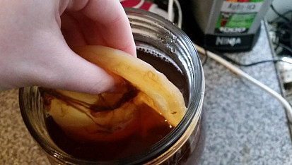 Kombucha z kupované lahve Kombuchy