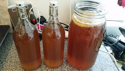Kombucha z kupované lahve Kombuchy