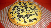 Krémový ovocný koláč