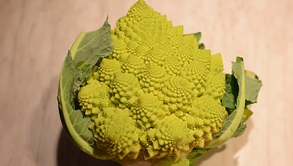 Květáková tempura, květák Romanesco