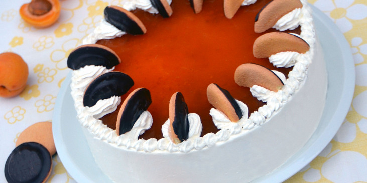 K výrobě nepečeného dortu můžete použít také polomáčené jaffa piškoty
