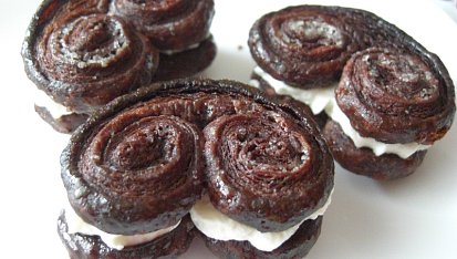 Palmiers - Palmové listy