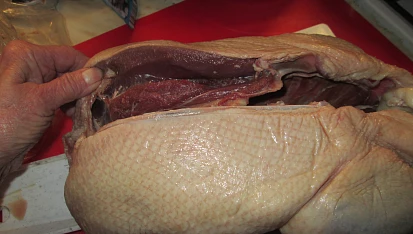 Pečená divoká husa na koření, divoká husa v syrovém stavu