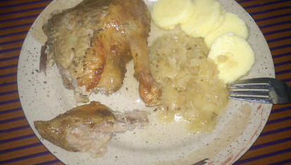 Pomalá kachna