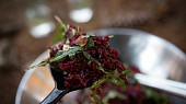Salát z quinoy a červené řepy