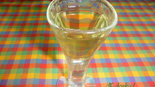 Zdravotní zázvorový likér