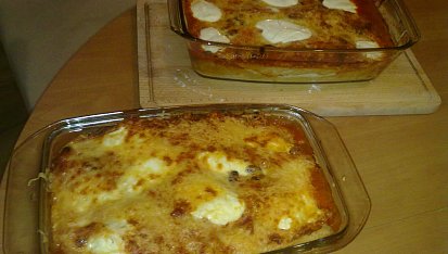 Enchiladas s kuřecím a vepřovým masem a žampióny