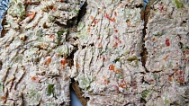 Košťálovo-mrkvová pomazánka