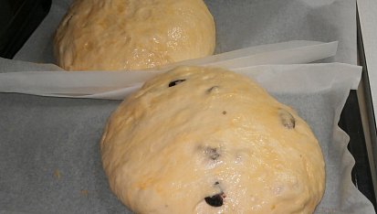 Vláčný velikonoční mazanec, nakynuté, šup do trouby
