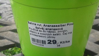 Limetkové kuře s koriandrem
