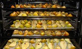 Jablka pro výrobu müsli (sušení v troubě) (KŘÍŽALY)