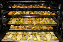 KŘÍŽALY