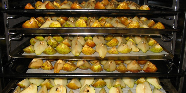 Jablka pro výrobu müsli (sušení v troubě) (KŘÍŽALY)