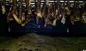 Sušené hovězí maso – jerky