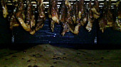 Sušené hovězí maso – jerky