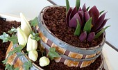 Dort - květinové sudy s krokusy a břečťanem