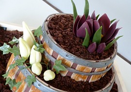 Dort - květinové sudy s krokusy a břečťanem