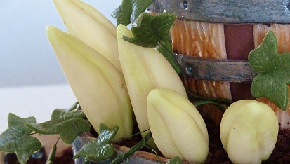 Dort - květinové sudy s krokusy a břečťanem