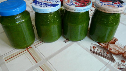 Pesto z medvědího česneku s parmezánem