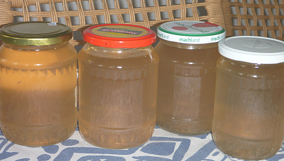 Můj bezinkový sirup (za studena)