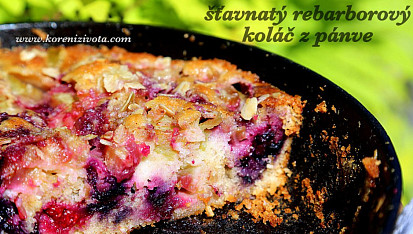 Šťavnatý rebarborový koláč ze špaldy a jogurtu, k rebarboře jsem přidala trochu lesního ovoce pro barevnější efekt