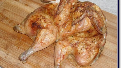 Tančící kuřátko