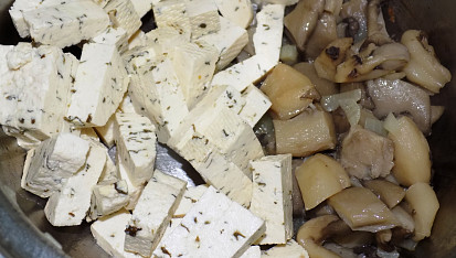 Tofu na hlívě