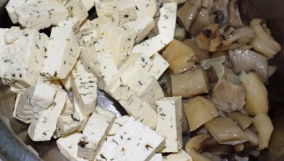 Tofu na hlívě