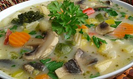 Zeleninovo-žampionová polévka