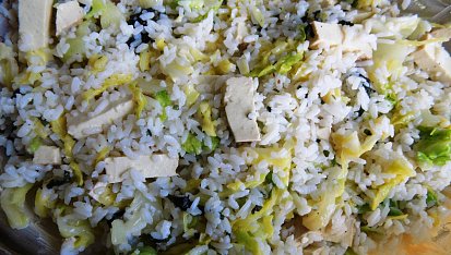 Kapusta zapečená s rýží a tofu s vejci