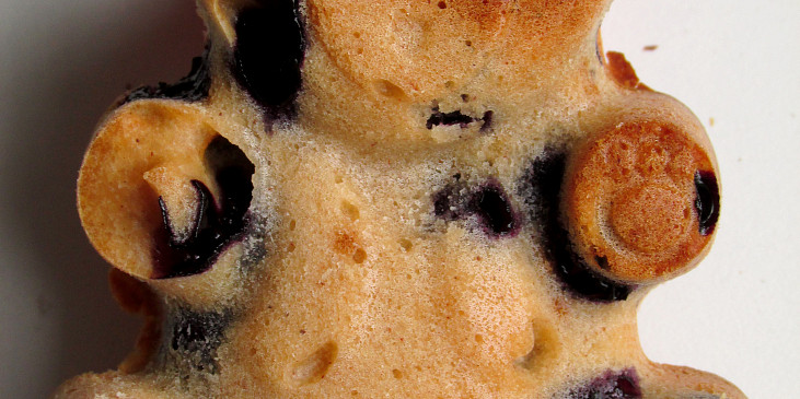 Borůvkové muffiny s medem