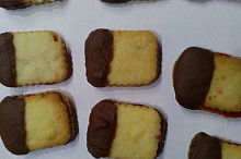 Prababiccino linecke