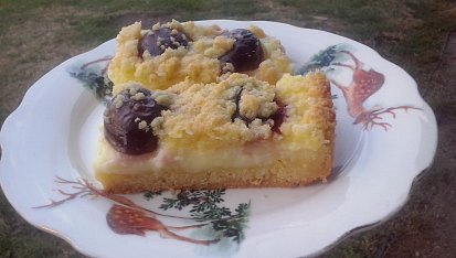 Drobenkový koláč s pudinkem a jahodami