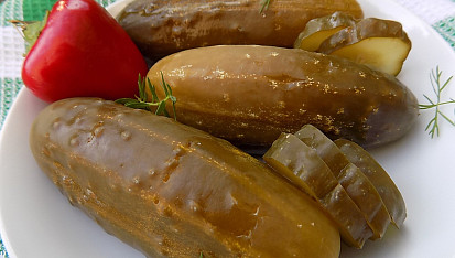 Rychlokvašky