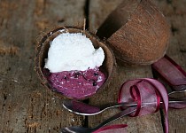 Smetanová kokosová zmrzlina a ovocná zmrzlina s jogurtem bez cukru