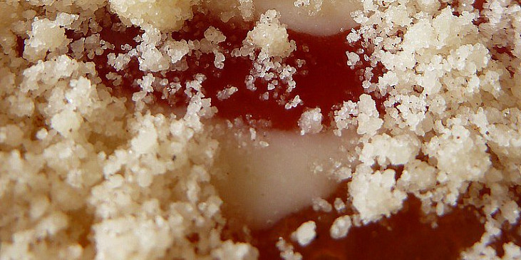 Nadýchaná kefírová buchta s marmeládou a drobenkou (Před pečením (marmeláda zlehka zasypaná drobenkou))