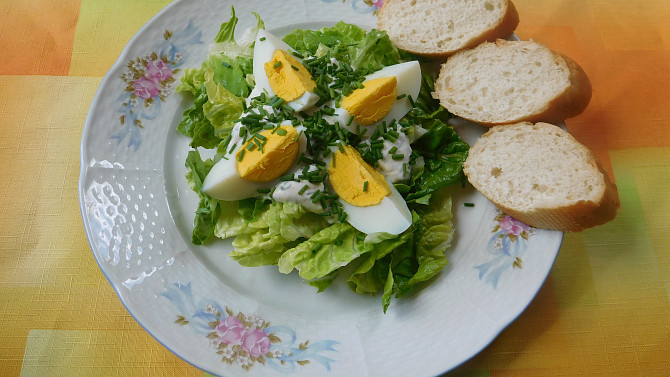 Hlávkový salát s vařenými vejci, Hlávkový salát s vařenými vejci