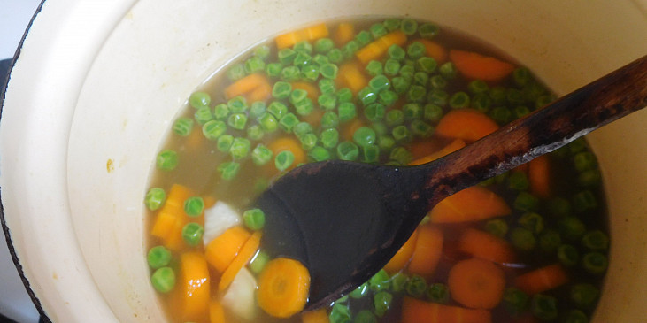 Zeleninová polévka s vajíčkem a nudlemi (Zeleninová polévka)
