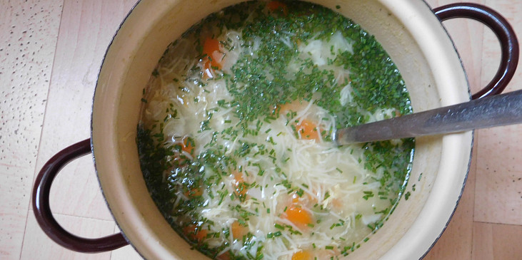 Zeleninová polévka s vajíčkem a nudlemi