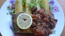 Cejn ,,Marengo"
