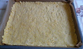 Švestkový koláč s bílkovou mřížkou