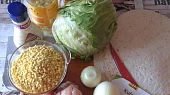 Tortilla plněná kuřecím masem