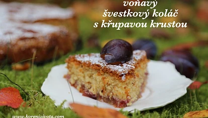 Voňavý švestkový koláč s křupavou krustou