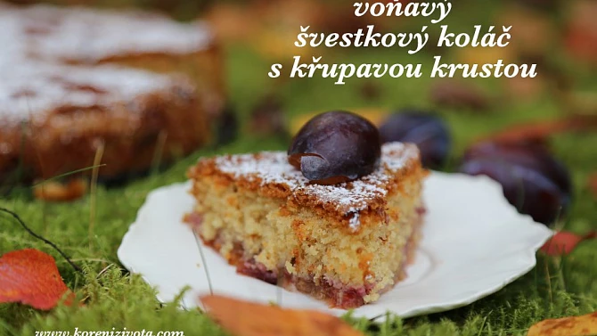 Voňavý švestkový koláč s křupavou krustou